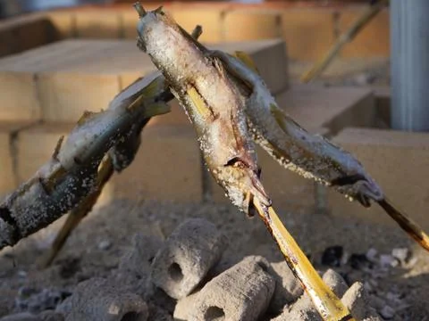 Fish burking at fireplace Stock Photos
