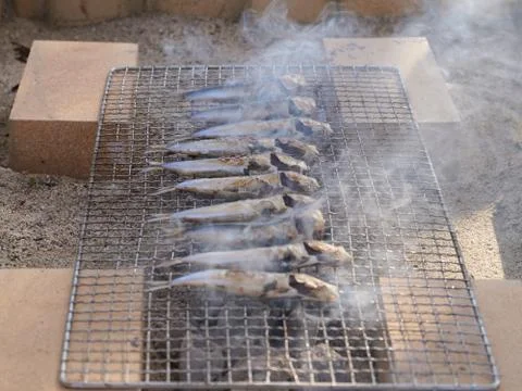 Fish burning at fireplace Stock Photos