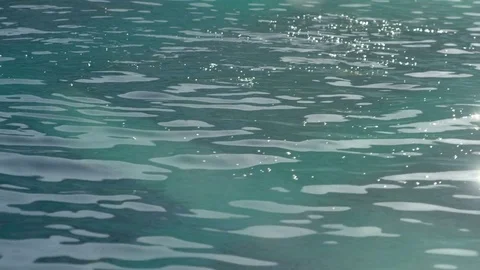 Fish cages up in Alta, Norway, fish and net Stock Footage 76568375