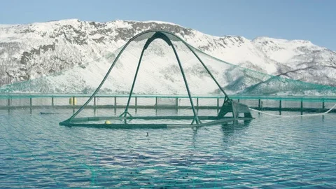 Fish cages up in Alta, Norway, inside Stock Footage 76568493
