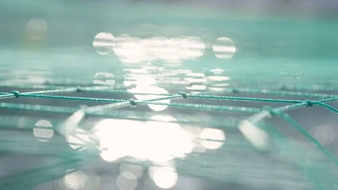 Fish cages up in Alta, Norway, net Stock Footage 76567768