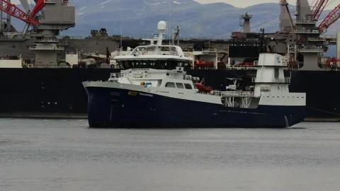 Fish Carrier "Ronja Supporter" IMO: 9775359 arriving in Lerivik, Stord, Norway Stock Footage 200132219