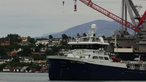 Fish Carrier "Ronja Supporter" IMO: 9775359 arriving in Lerivik, Stord, Norway Stock Footage 200132267