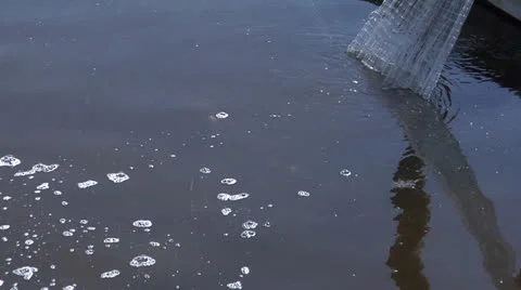 Fish, Cast net being retrieved with mullet inside in Florida USA Stock Footage 22540499