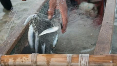 Fish catch Stock Photos