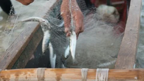 Fish catch Stock Photos