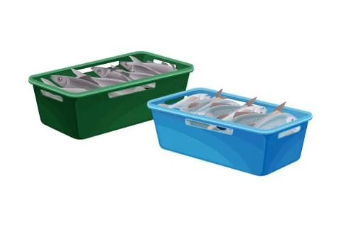 Fish Catch Rested in Plastic Box Isolated on White Background Vector 스톡 일러스트