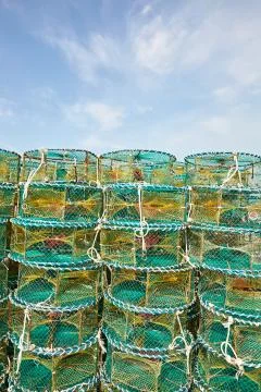 Fish catching tool 스톡 사진