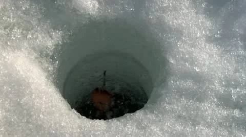 A fish is caught Video stock 11301447