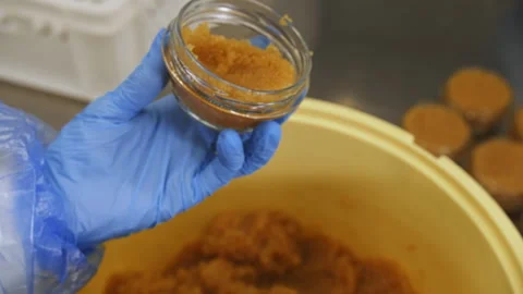 Fish caviar is packed at the factory Stock Footage 246637133