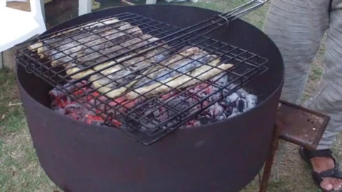 Fish on charcoal slow motion Vidéo 104081323