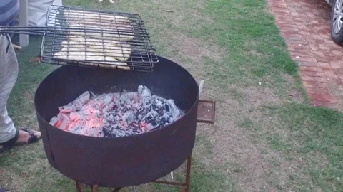 Fish on charcoal slow motion Stock Footage 104081568