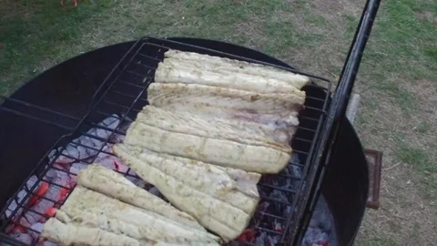 Fish on charcoal slow motion Stock Footage 104081602
