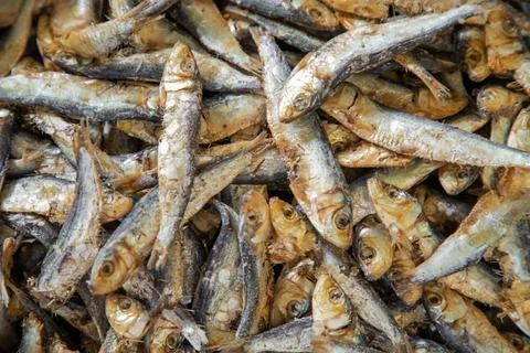 Fish chips dried and cured fish pieces, used small amounts in sri lanka cooki 库存照片