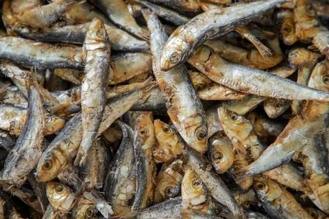 Fish chips dried and cured fish pieces, used small amounts in sri lanka cooki Stockfoto's