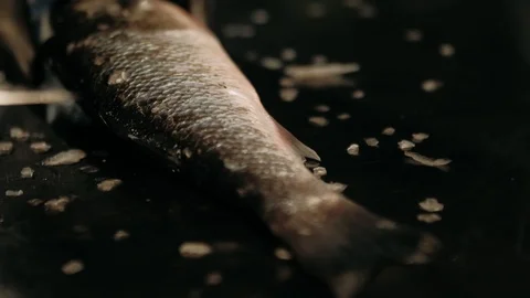 Fish on the chopping board Stock Footage 125458603