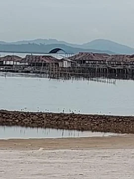 Fish clap Stock Photos