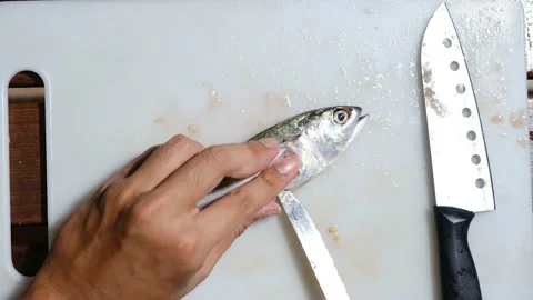 Fish cleaning and remove internal organ Stock Footage 155029719