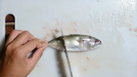 Fish cleaning and remove internal organ Stock Footage 155029725