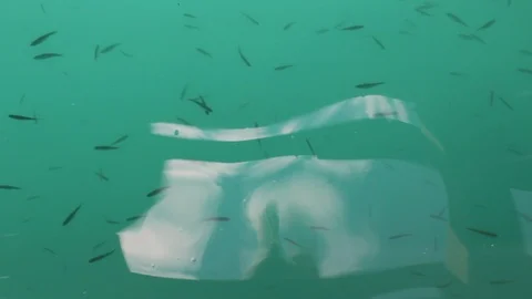 Fish in a clear blue lake. Reflection of the sky in a blue lake close-up Stock Footage 92607680