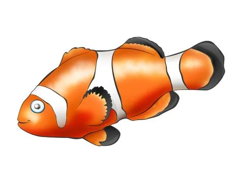 Fish - Clown Stock Illustration