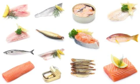 Fish Collection Stock Photos