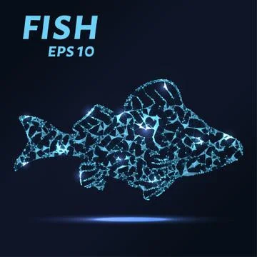 Fish consists of points, lines and triangles. The polygon shape in the form.. Stock Illustration