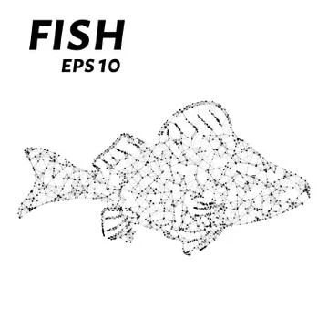 Fish consists of points, lines and triangles. The polygon shape in the form.. Stock Illustration