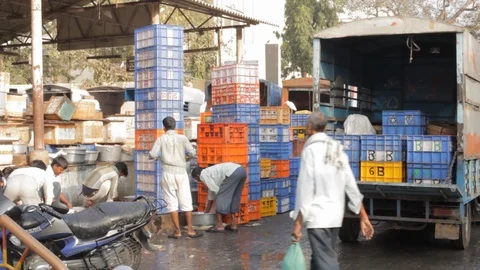 Fish container stack at the seafood market, Mumbai, India Video stock 126115226