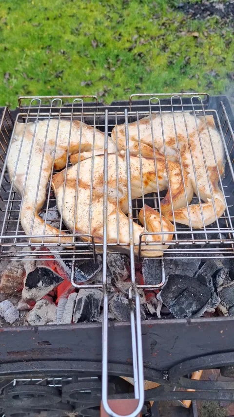 Fish cooked on an outdoor grill Stock Footage 320704082