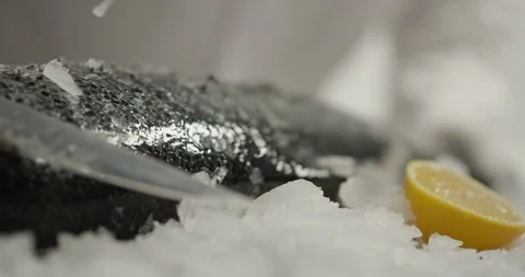 Fish cooking 4k Stock Footage 95239815