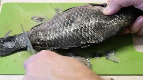 Fish cooking. Cleaning river fish from scales Stock Footage 171884469