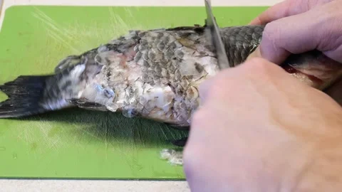 Fish cooking. Cleaning river fish from scales Stock Footage 198911655