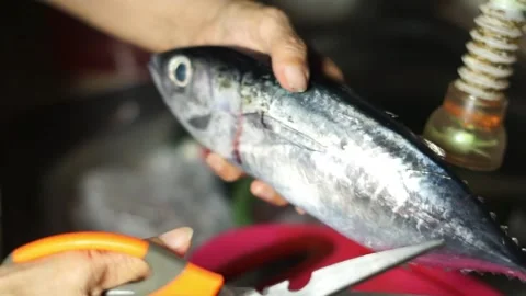 FISH COOKING PREPARATION IN THE KITCHEN Video stock 282964292