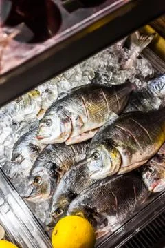 Fish counter Stock Photos