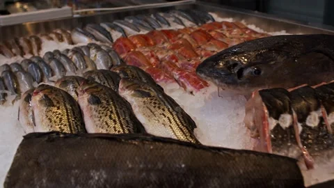 The fish is on the counter. Seafood shop. Video stock 166324113