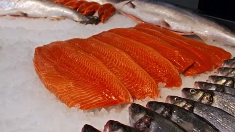 The fish is on the counter. Seafood shop. Video stock 166324136