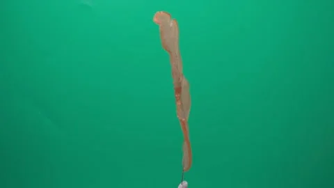 Fish Crackers Stock Footage 169667671