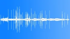 Fish Crow MCU Calls Sound Effect