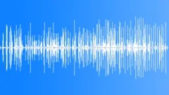 Fish Crow MCU Calls Sound Effect