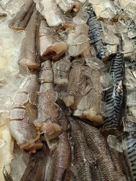 Fish cut in ace Stock Photos