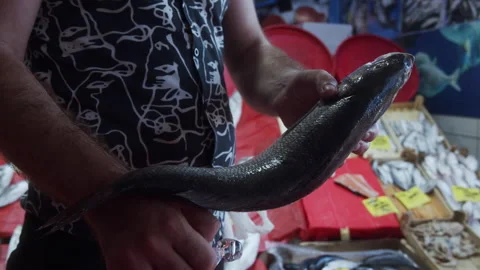 A Fish cut held in the open market Stock Footage 269068148