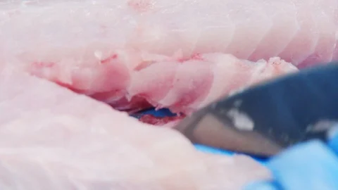 Fish cutting Stock Footage 113322437