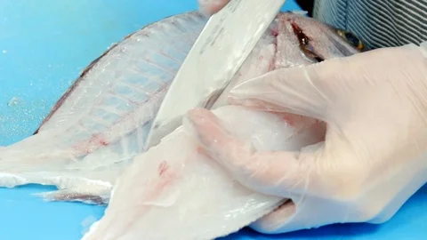 Fish cutting Stock Footage 114059051