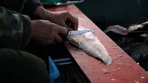 Fish cutting. Male hands preparing fish for eating removing fillet from bone. HD Vídeos de archivo 73643557