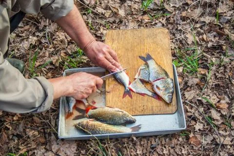 Fish cutting Stock Photos