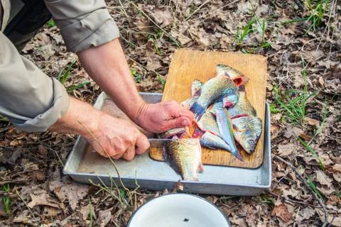 Fish cutting Stock Photos