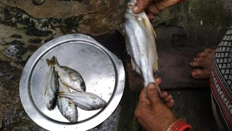 Fish cutting 写真素材