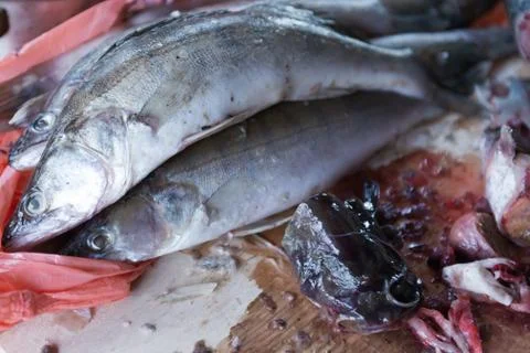 Fish on the cutting table Stock Photos