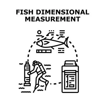 Fish dimensional measurement process in ocean research Stock Illustration